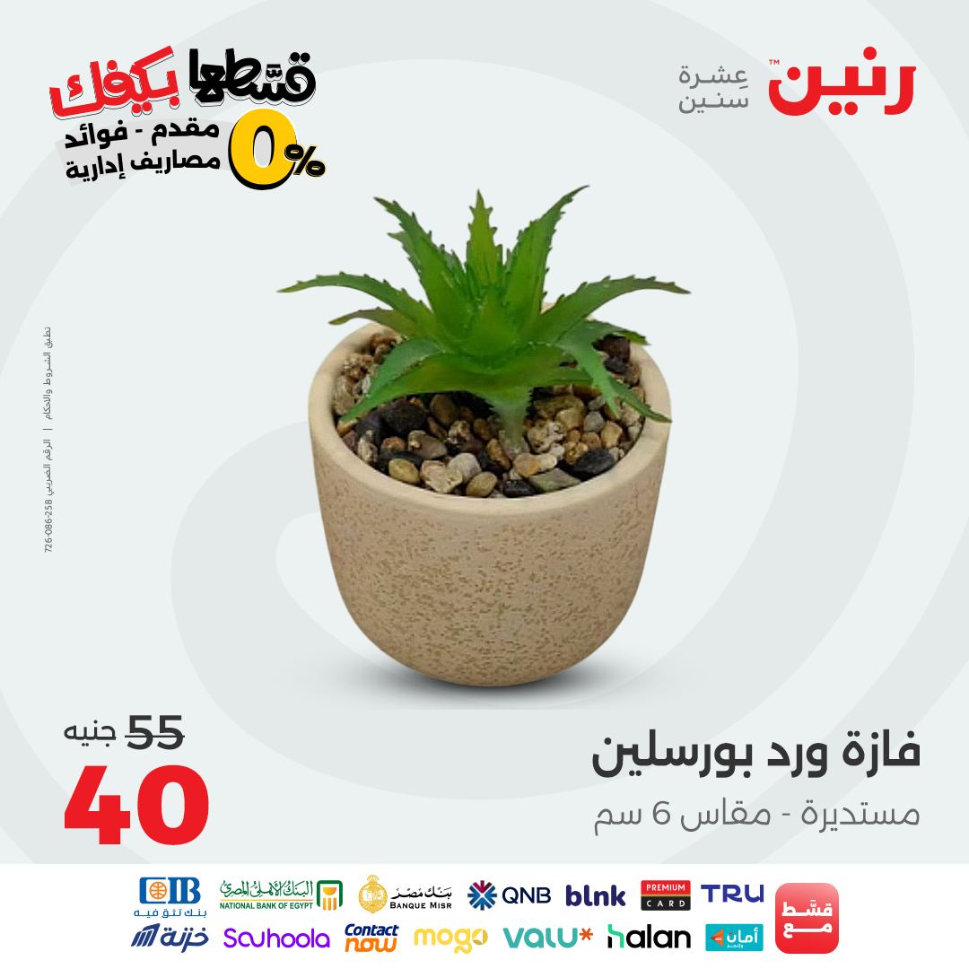 raneen offers from 14sep to 5sep 2025 عروض رنين من 14 سبتمبر حتى 5 سبتمبر 2025 صفحة رقم 19